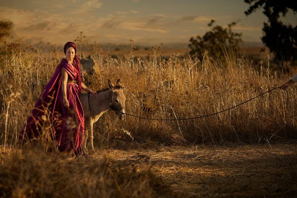 Woman of Shunem Women Of The Bible Dikla Laor
